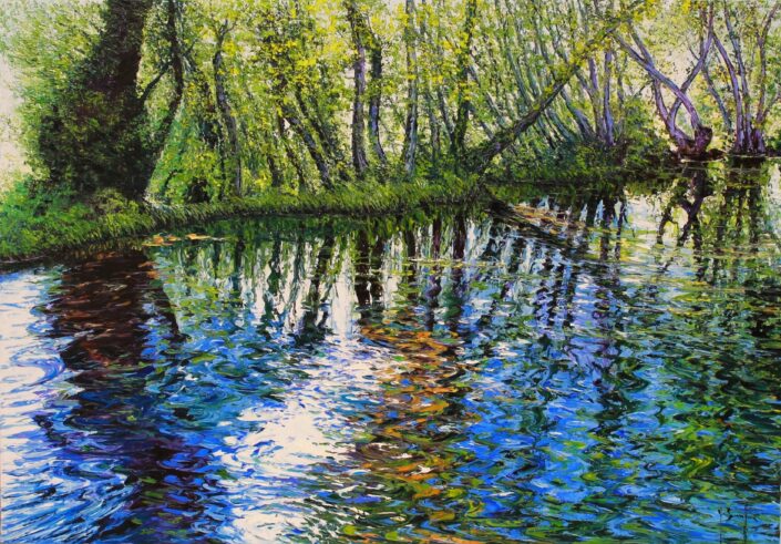 Rives et chatoiements