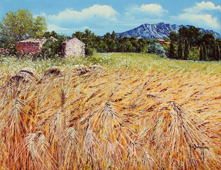 Sainte Victoire aux graminées dorées