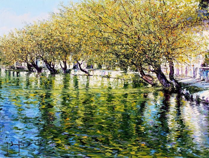 Couleurs fluctuantes de la Sorgue